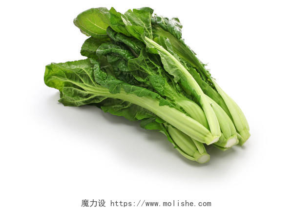 芸苔属芥菜日本的叶类蔬菜摄影图